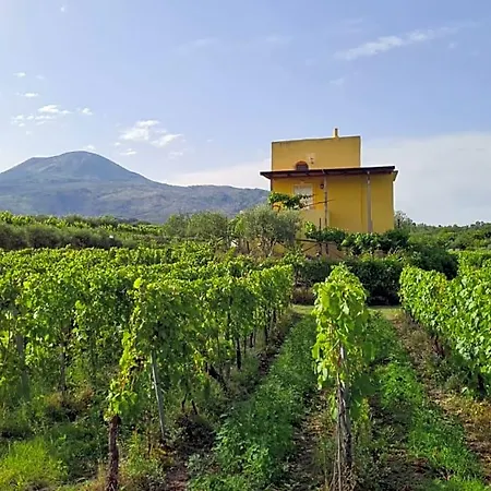 Vesuvio Bed & Wine Experience Hotel Naples